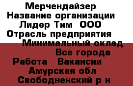 Мерчендайзер › Название организации ­ Лидер Тим, ООО › Отрасль предприятия ­ BTL › Минимальный оклад ­ 17 000 - Все города Работа » Вакансии   . Амурская обл.,Свободненский р-н